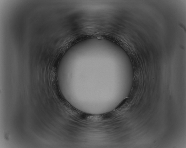 X0000094910133200711291008