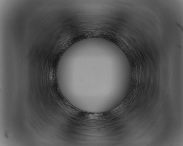 X0000094910134200711291008