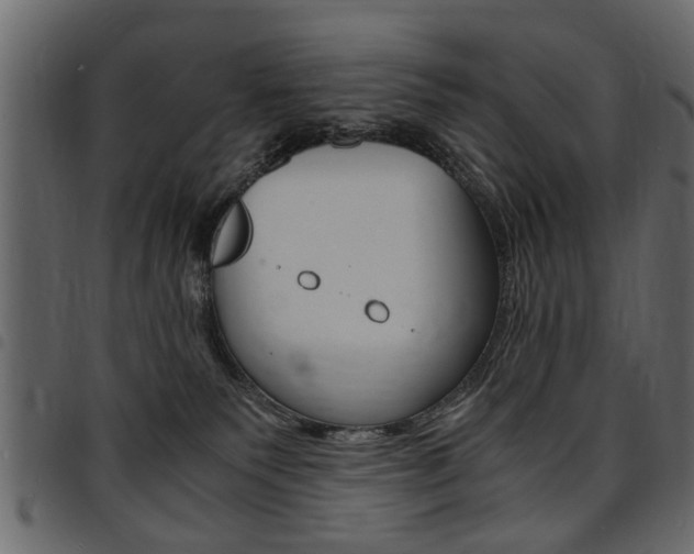 X0000094910135200711291008