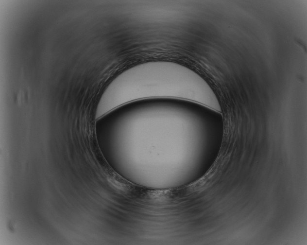 X0000094910136200711291008