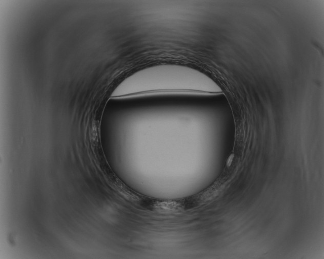 X0000094910137200711291008