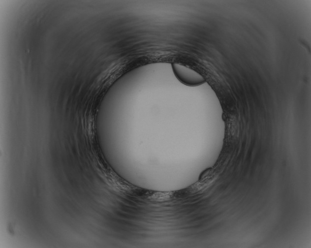 X0000094910138200711291008
