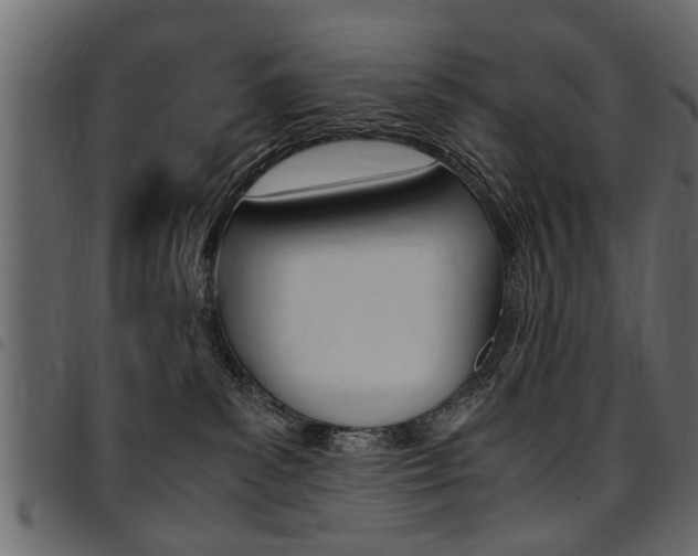 X0000094910139200711291008
