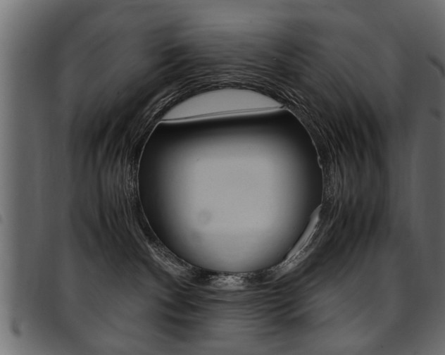X0000094910140200711291008
