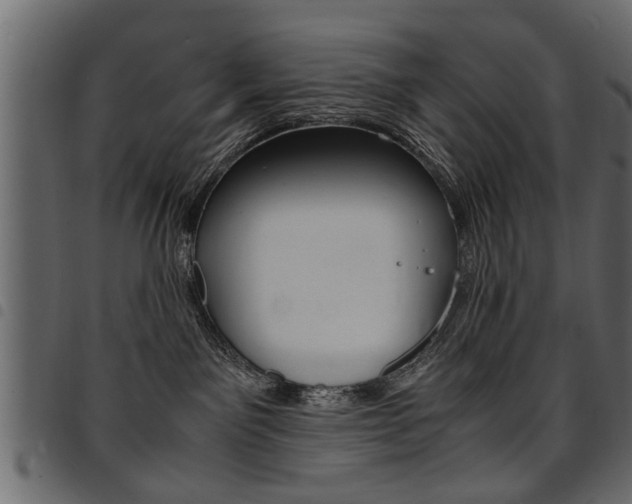 X0000094910141200711291008