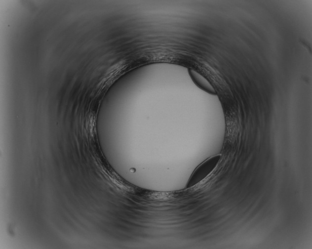 X0000094910142200711291008
