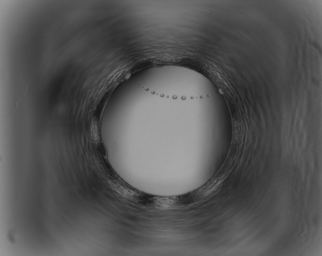 X0000094910143200711291008