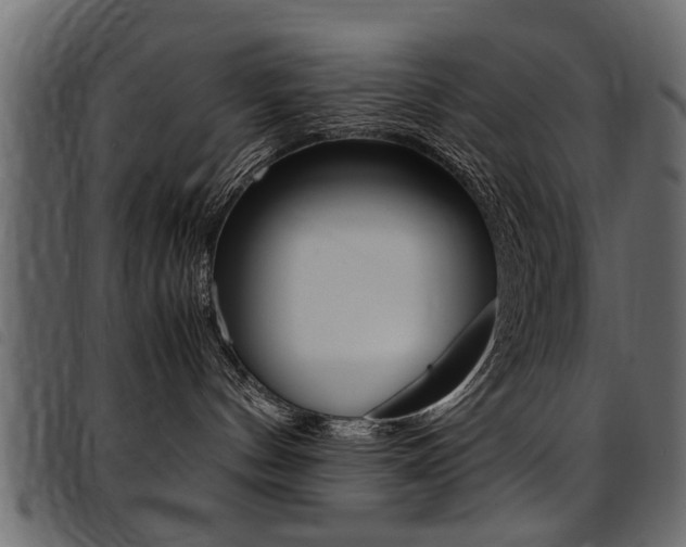 X0000094910144200711291008