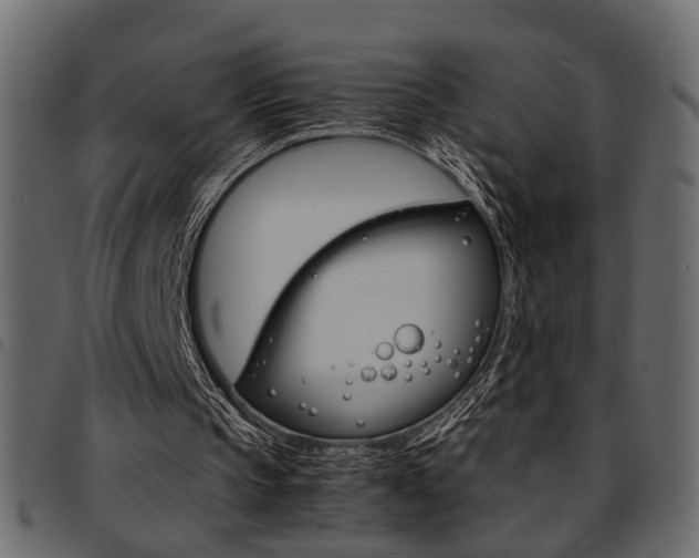 X0000094910145200711291007
