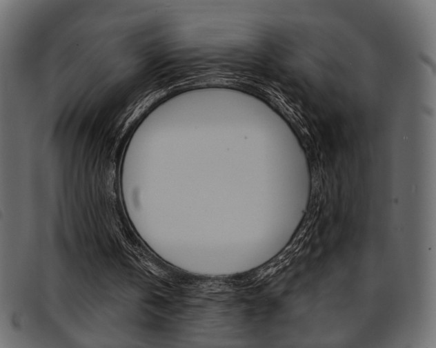 X0000094910146200711291007