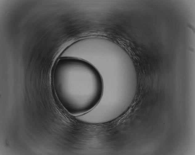 X0000094910148200711291007