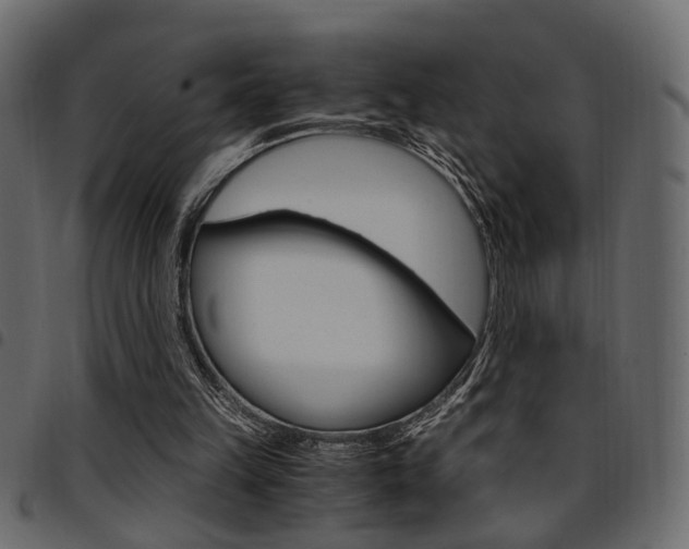 X0000094910149200711291007
