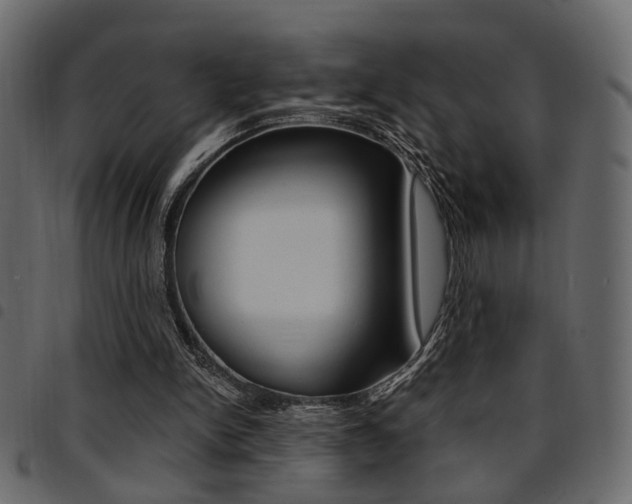 X0000094910150200711291007