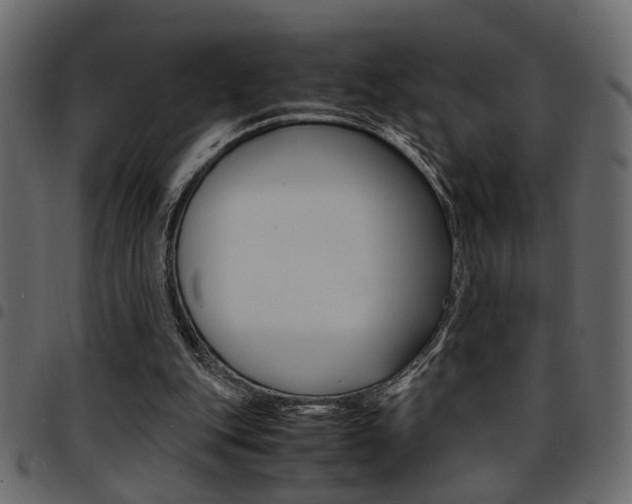X0000094910151200711291007