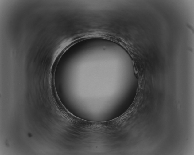 X0000094910152200711291007
