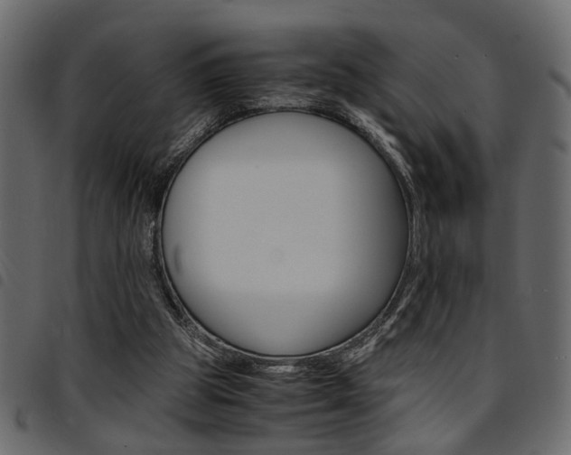 X0000094910153200711291007