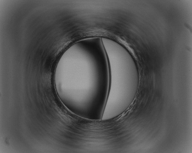 X0000094910154200711291007