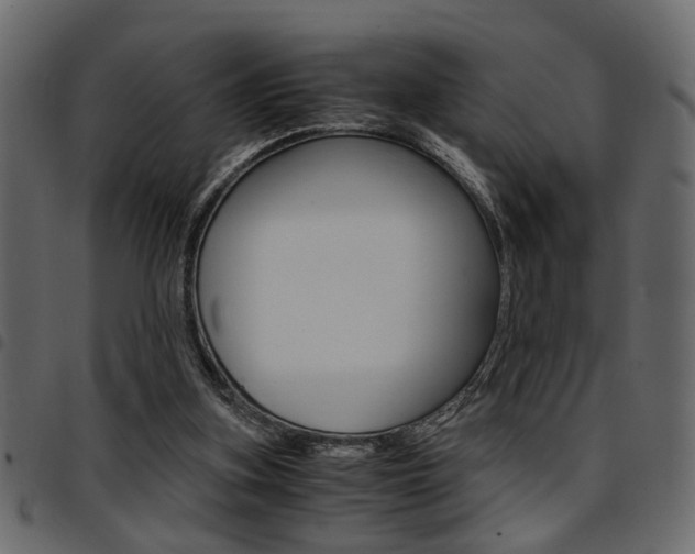 X0000094910155200711291007