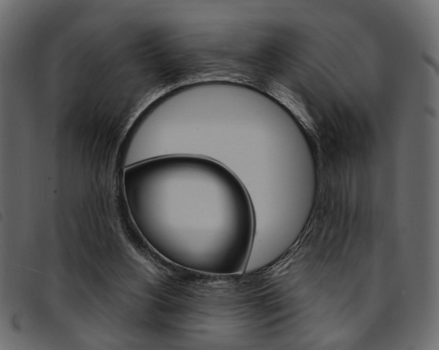 X0000094910156200711291007