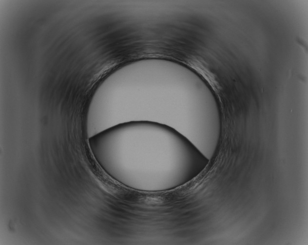 X0000094910157200711291007