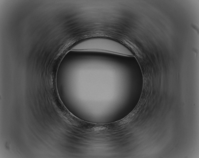 X0000094910158200711291007