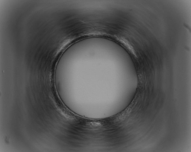 X0000094910159200711291007