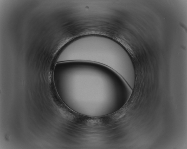 X0000094910160200711291007