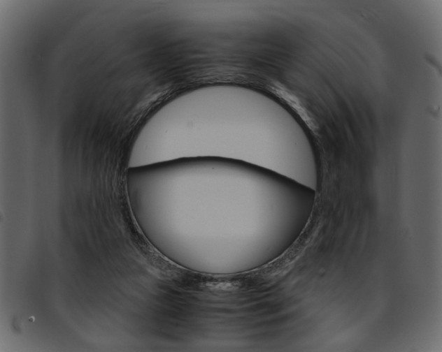 X0000094910161200711291007