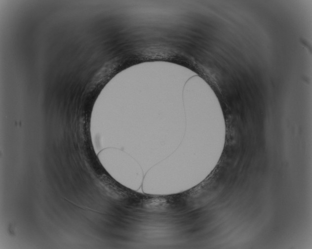X0000094910162200711291008