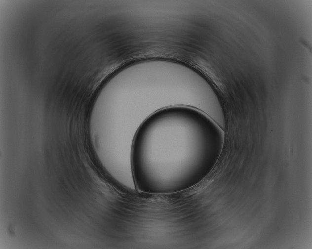 X0000094910164200711291008