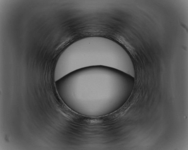 X0000094910165200711291008