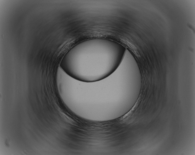 X0000094910166200711291008