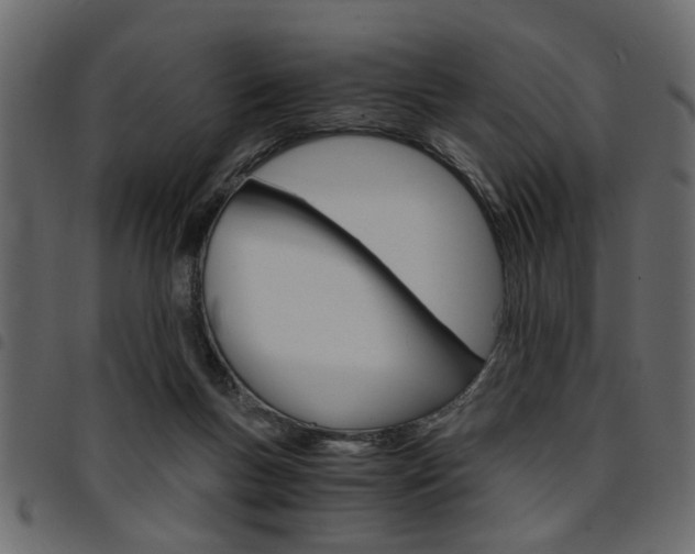 X0000094910167200711291008