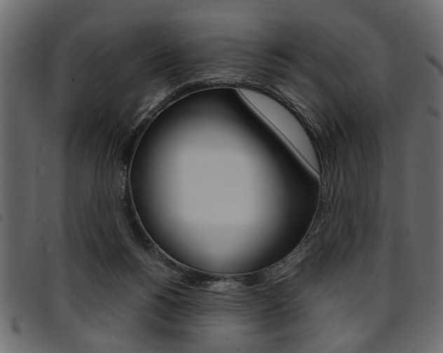 X0000094910168200711291008
