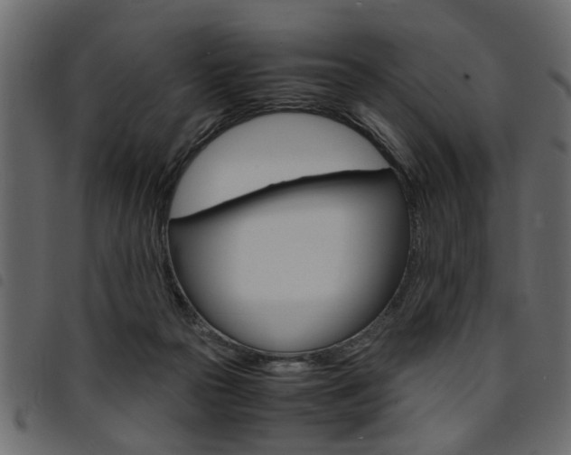 X0000094910169200711291008