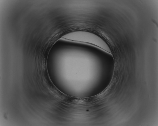 X0000094910170200711291008