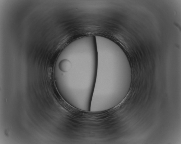 X0000094910171200711291008