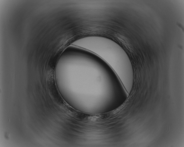 X0000094910172200711291008