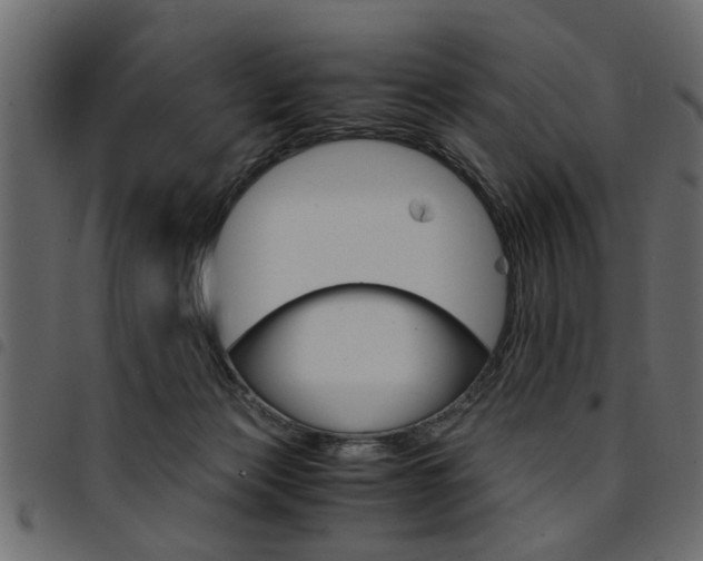 X0000094910173200711291008