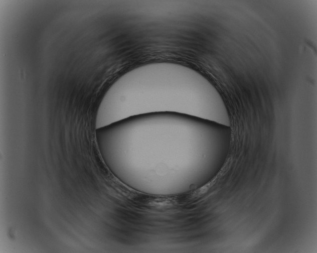 X0000094910175200711291008