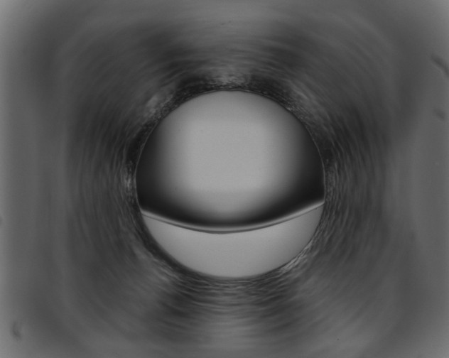 X0000094910176200711291008