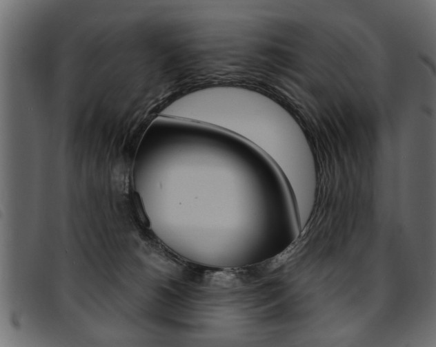 X0000094910180200711291008