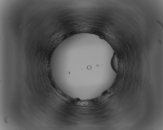 X0000094910181200711291008