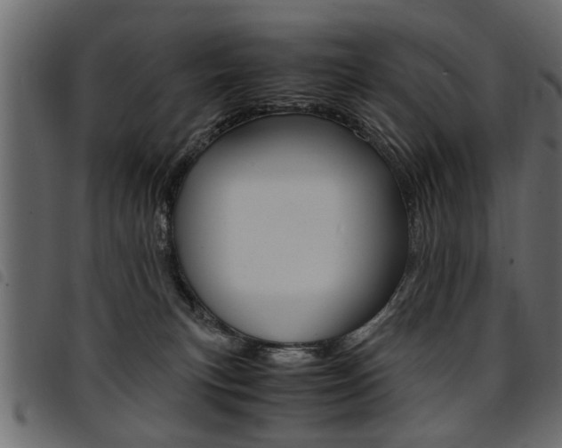 X0000094910183200711291008