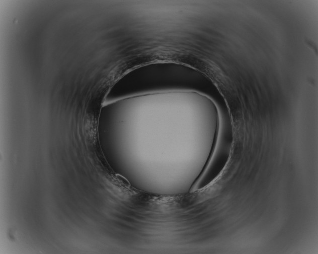 X0000094910186200711291008