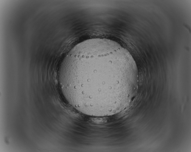 X0000094910187200711291008