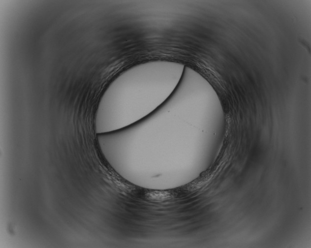 X0000094910189200711291008