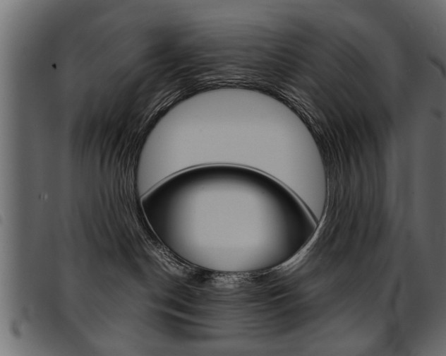 X0000094910190200711291008