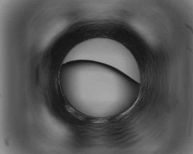 X0000094910191200711291008