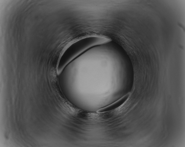 X0000094910192200711291008